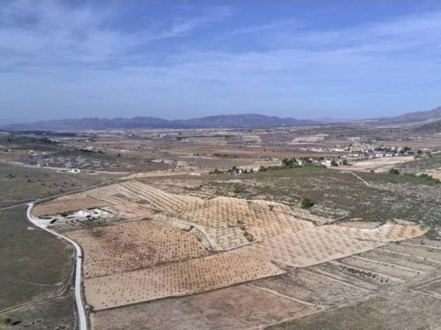 Terreno en Venta en Abanilla