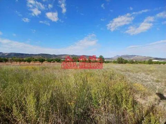 Terreno en Venta en Abanilla