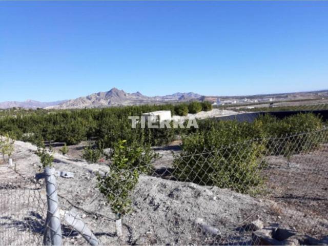 Terreno en Venta en Abanilla