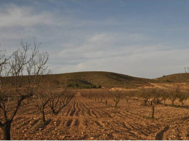 Terreno en Venta en Abanilla