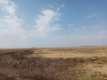 Terreno en venta en Acayuca, Zapotlán de Juárez, Hidalgo