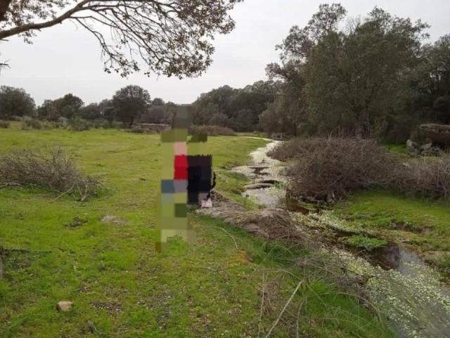 Terreno en venta en Aceituna, Extremadura