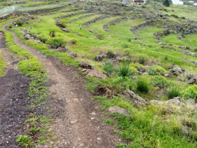 Terreno en venta en Adeje, Taucho