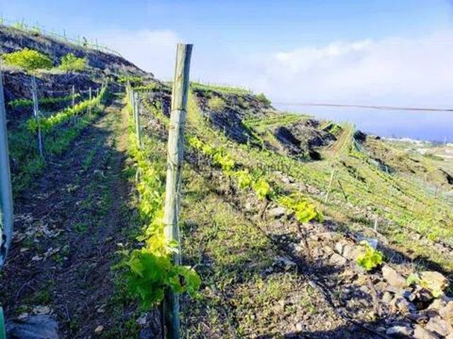 Terreno en Venta en Adeje