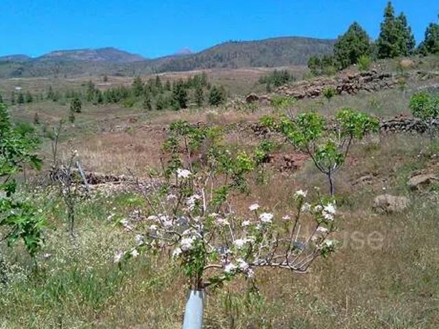 Terreno en Venta en Adeje