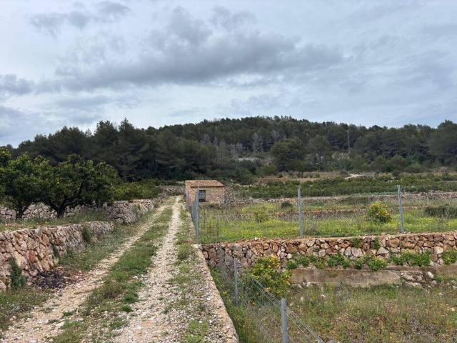 Terreno en Venta en Ador