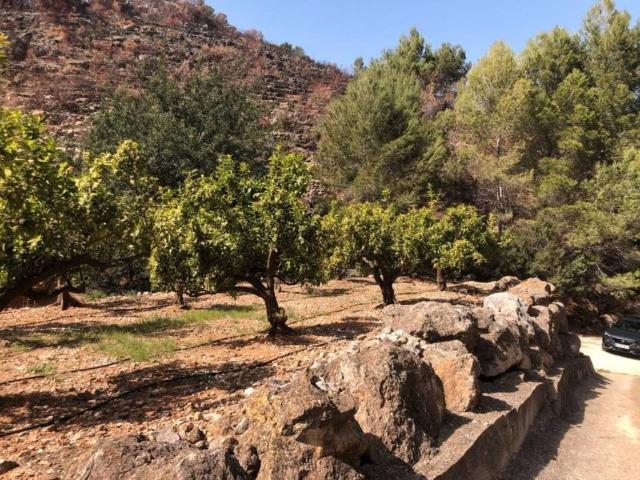 Terreno en Venta en Ador