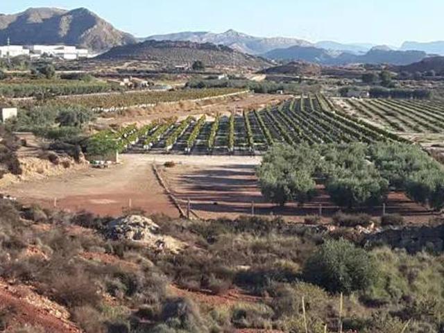 Terreno en Venta en Agost