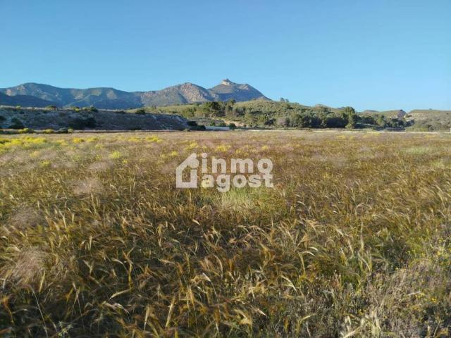 Terreno en Venta en Agost