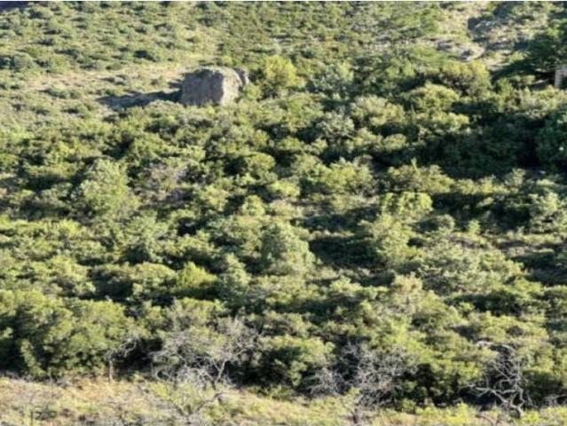 Terreno en Venta en Agüero