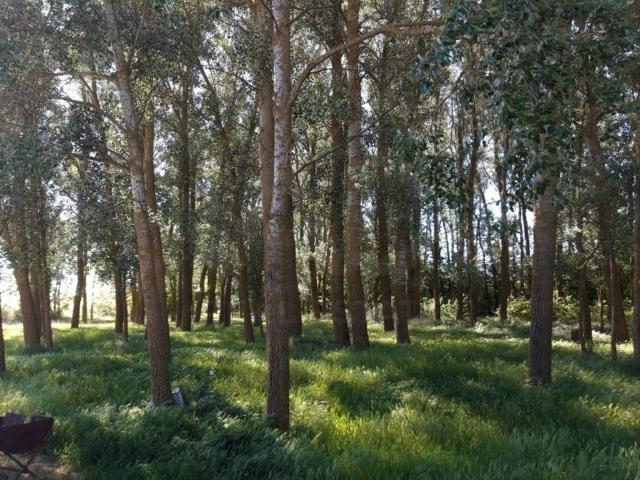 Terreno en Venta en Aguilar de Campos