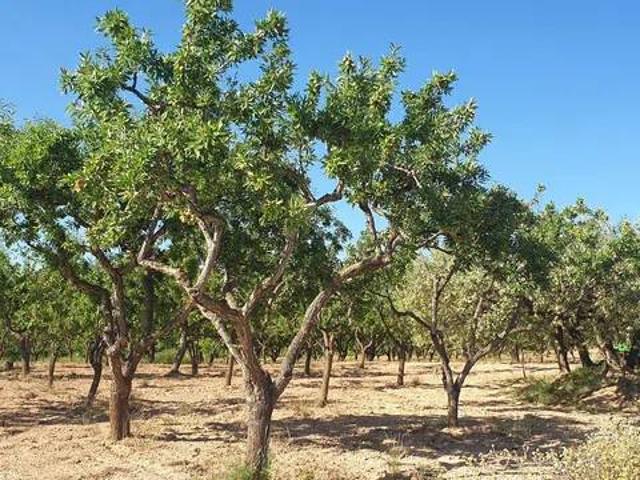 Terreno en Venta en Aiguamúrcia