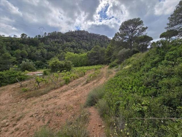 Terreno en Venta en Aiguamúrcia
