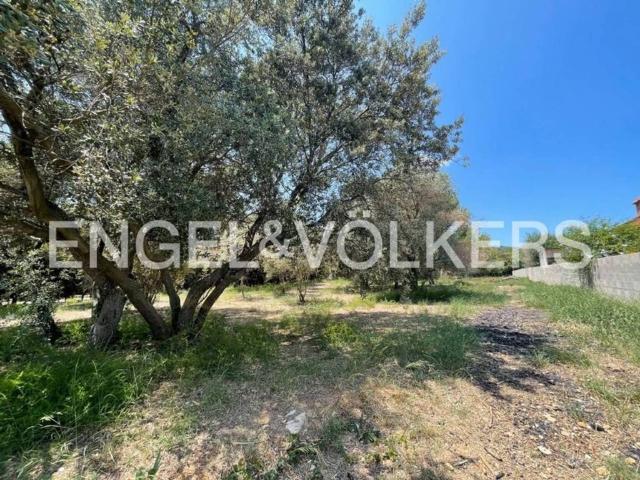 Terreno en Venta en Alcover
