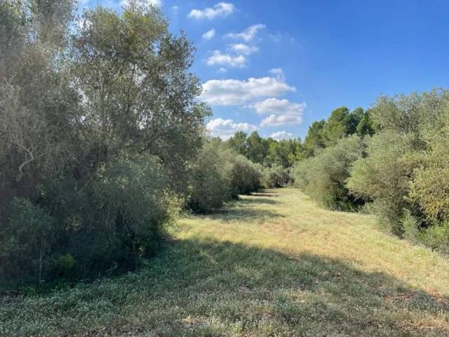 Terreno en Venta en Alcover