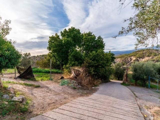 Terreno en venta en Alcolea, South of spain
