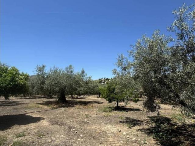 Terreno en Venta en Alcaucín