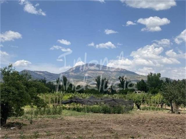 Terreno en Venta en Alcaudete