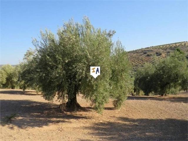 Terreno en Venta en Alcaudete