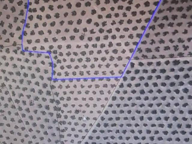 Terreno en Venta en Alcaudete