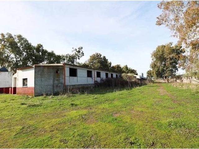 Terreno en Venta en Alcaudete de La Jara