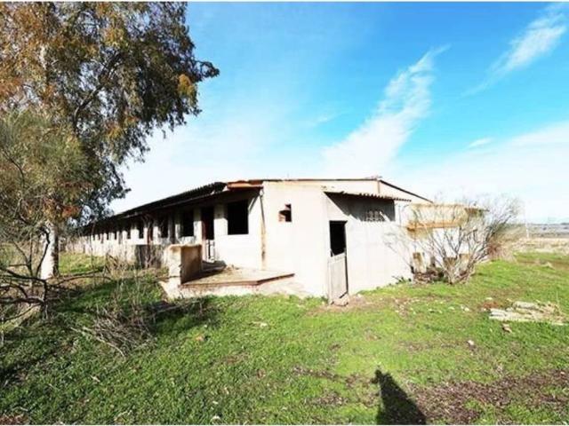 Terreno en Venta en Alcaudete de La Jara