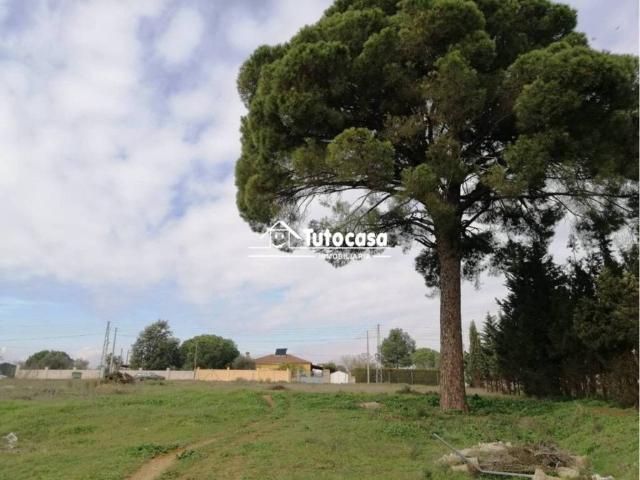 Terreno en Venta en Alcalá de Guadaíra