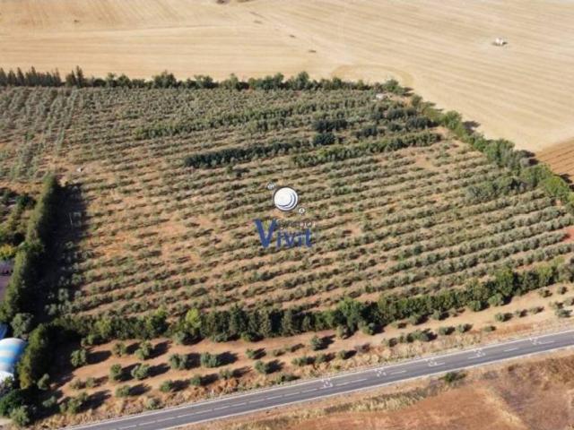Terreno en Venta en Alcalá de Guadaíra