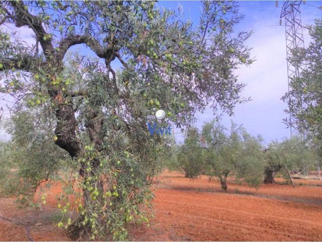 Terreno en Venta en Alcalá de Guadaíra