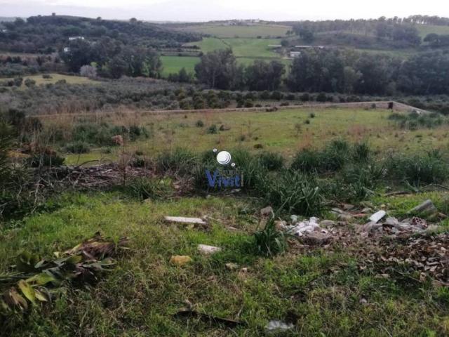 Terreno en Venta en Alcalá de Guadaíra