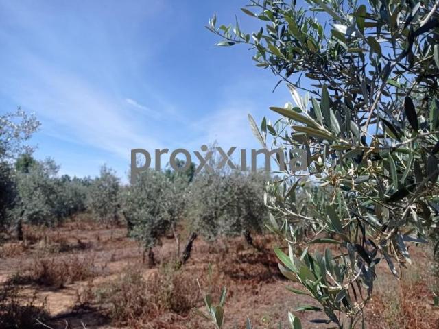Terreno en venta en Alcalá de Guadaira, Santa Genoveva
