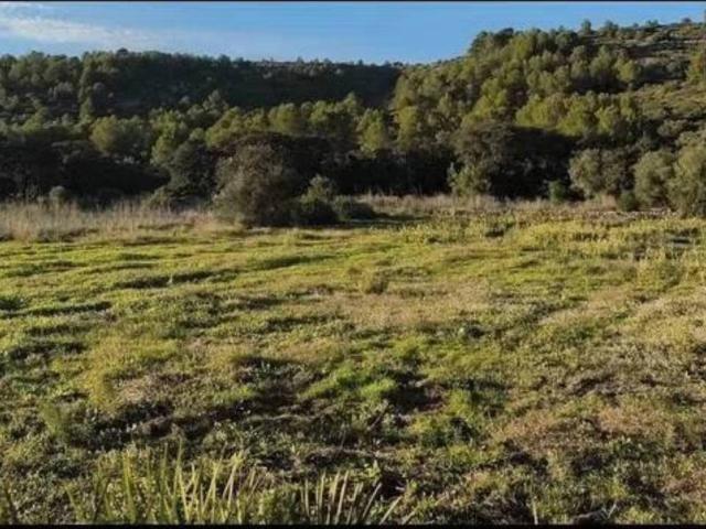 Terreno en Venta en Alcalalí
