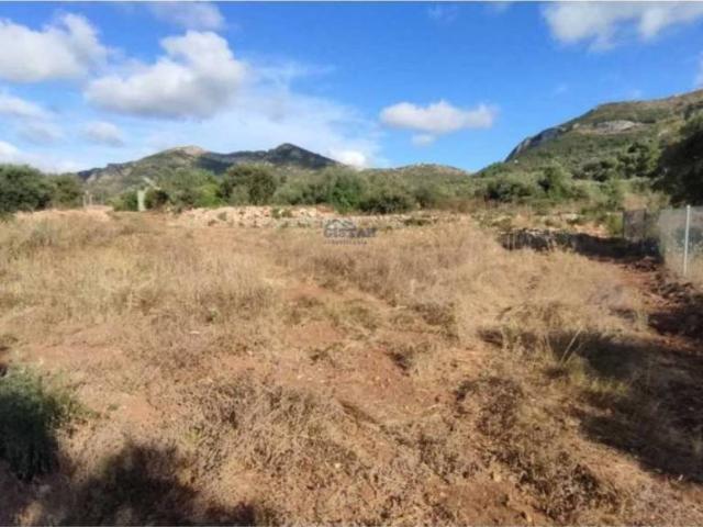 Terreno en Venta en Alcalalí