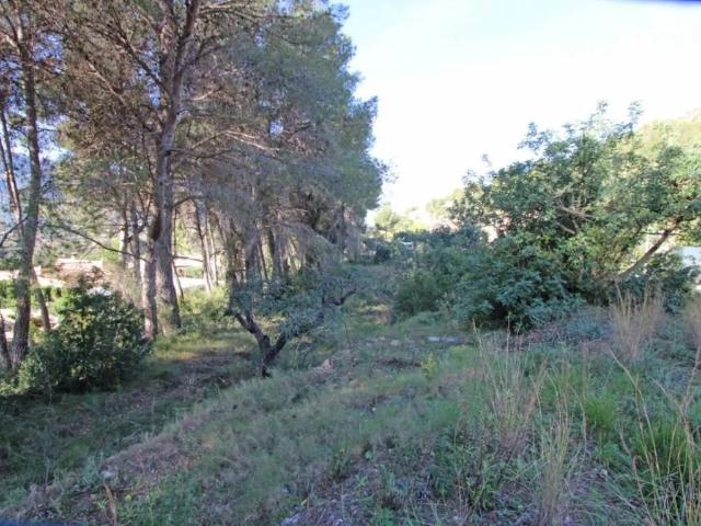 Terreno en Venta en Alcalalí