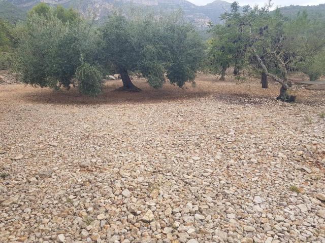 Terreno en Venta en Alcanar