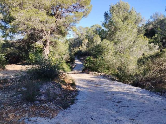 Terreno en Venta en Alcanar