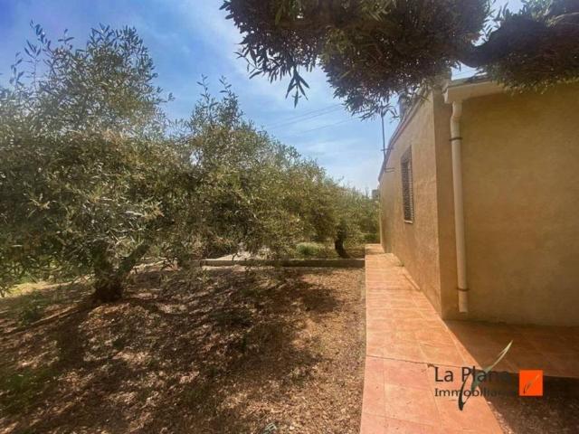 Terreno en Venta en Alcanar