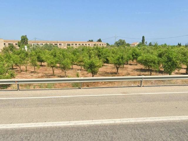 Terreno en Venta en Alcanar