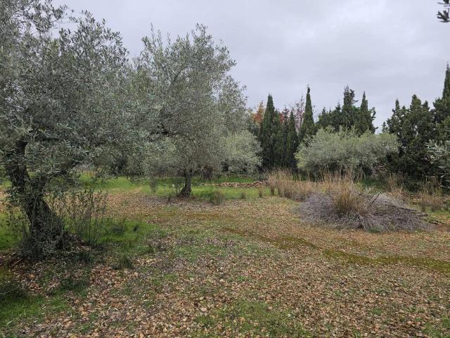 Terreno en Venta en Alcanar