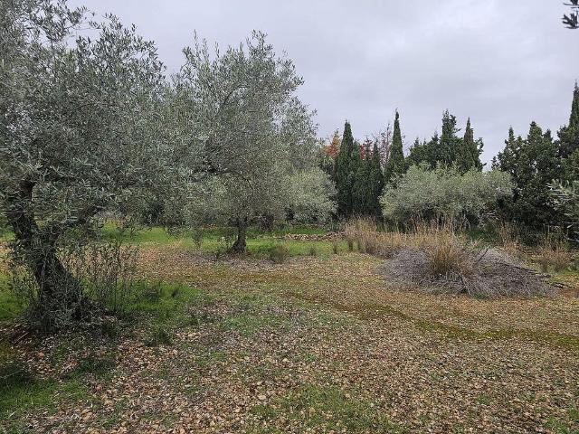 Terreno en venta en Alcanar, de 12.000 m² por 27.500