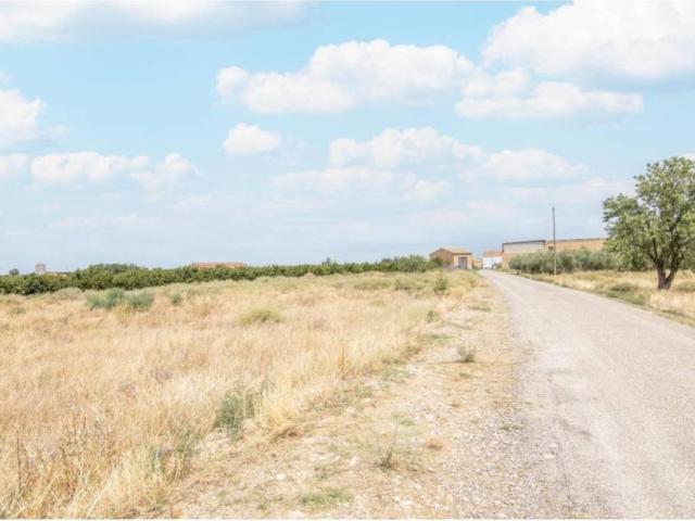 Terreno en Venta en Alcarràs