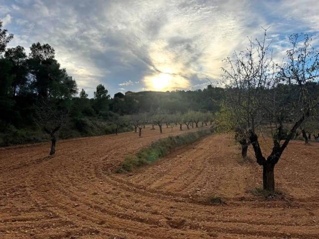 Terreno en Venta en Alcañiz
