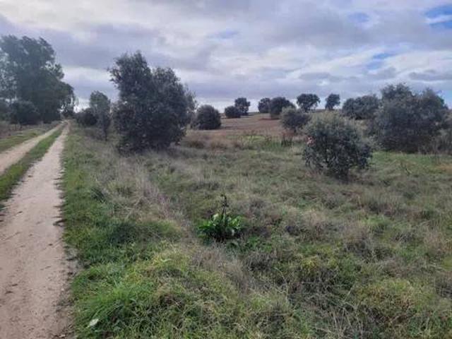 Terreno en Venta en Alcañizo