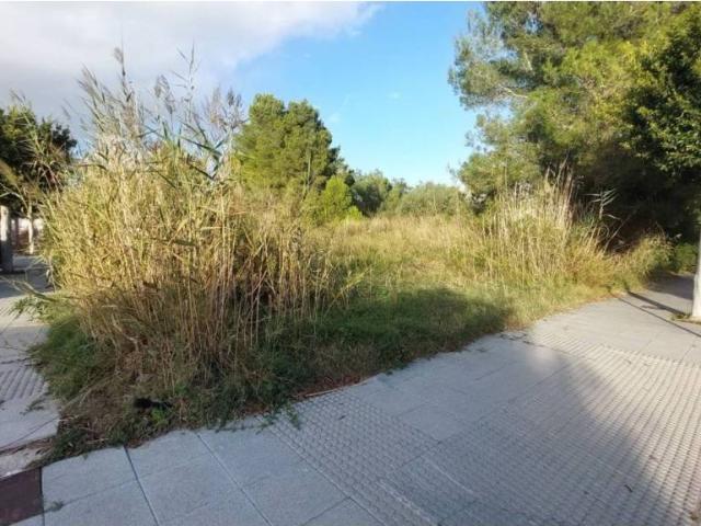 Terreno en Venta en Alcúdia