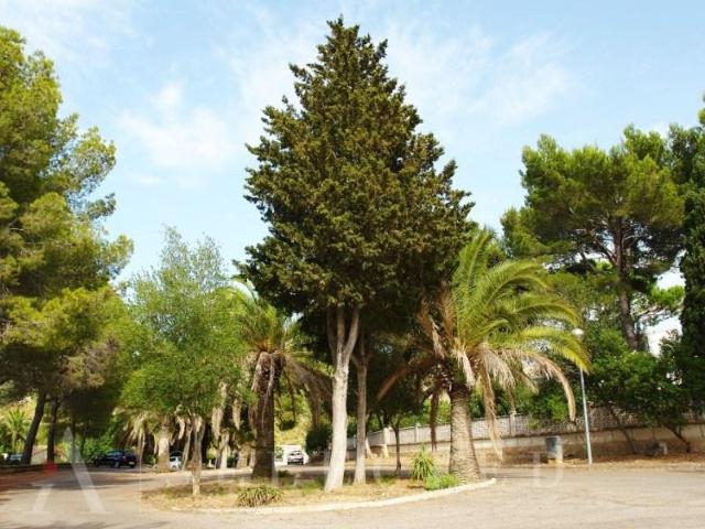 Terreno en venta en Alcúdia