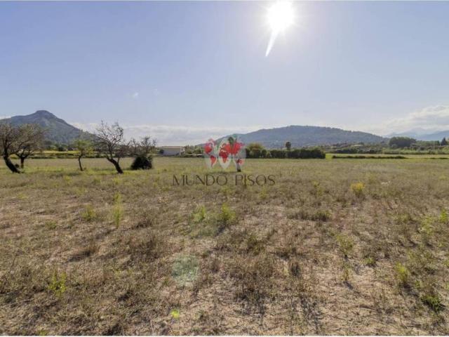 Terreno en Venta en Alcúdia