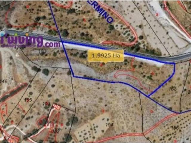 Terreno en Venta en Alcudia de Monteagud