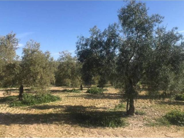 Terreno en Venta en Alameda