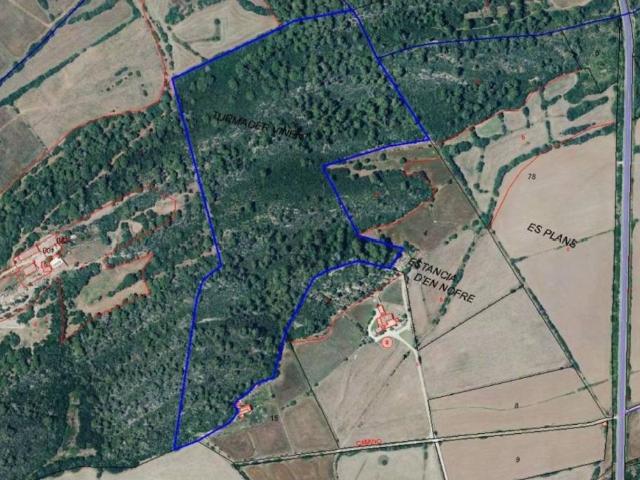 Terreno en Venta en Alaior