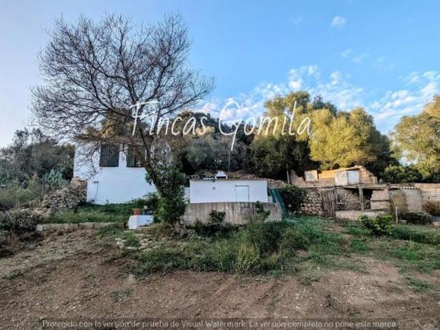 Terreno en venta en Alaior